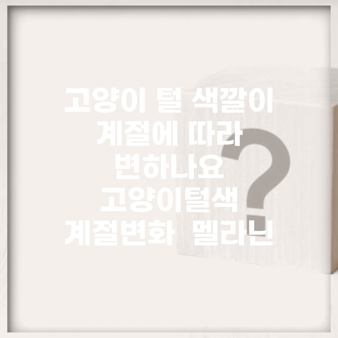 고양이 털 색깔이 계절에 따라 변하나요 | 고양이털색 | 계절변화 | 멜라닌