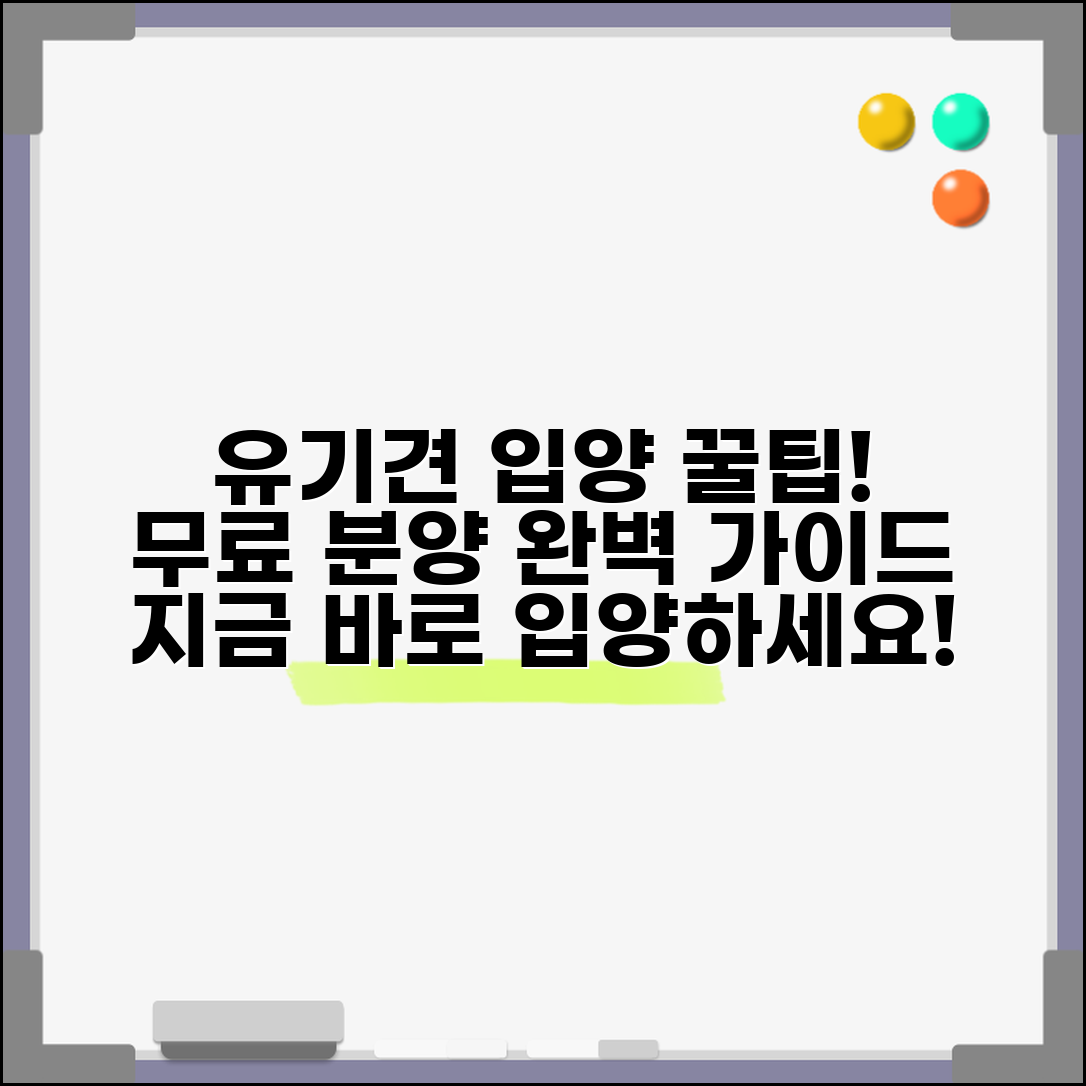 유기견 무료분양 입양 방법과 절차 총정리