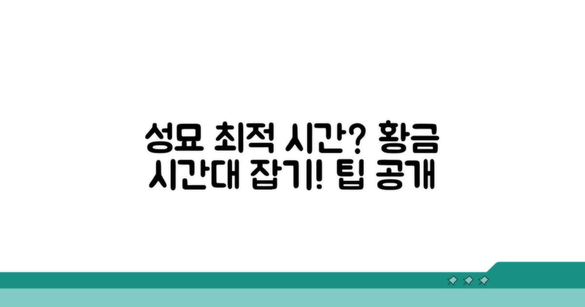 성묘 시간, 최적의 황금 시간대는?