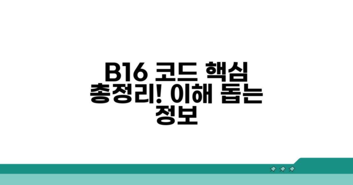 추가 정보와 B16 코드 이해 돕기