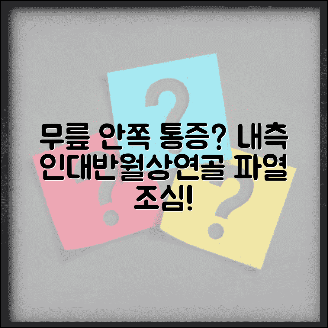 무릎 안쪽 통증 | 무릎 내측 인대 손상 | 반월상연골 파열 증상