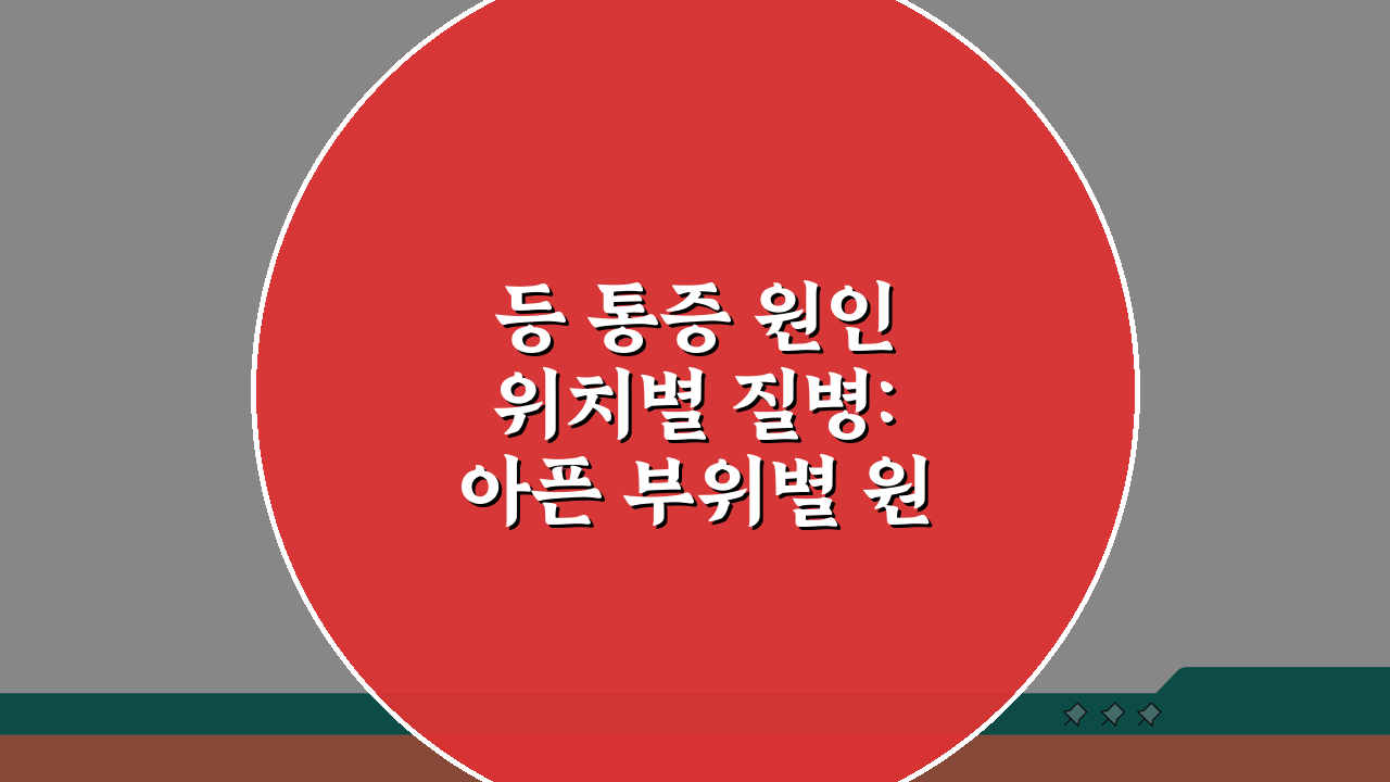 등 통증 원인 위치별 질병: 아픈 부위별 원인과 증상 총정리