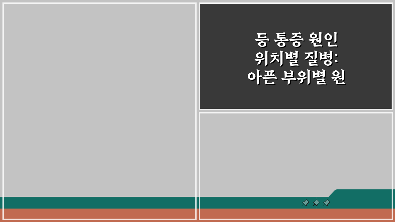 등 통증 원인 위치별 질병: 아픈 부위별 원인과 증상 총정리