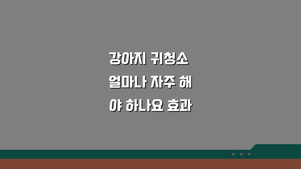 강아지 귀청소 얼마나 자주 해야 하나요 효과적인 외이염예방 관리법