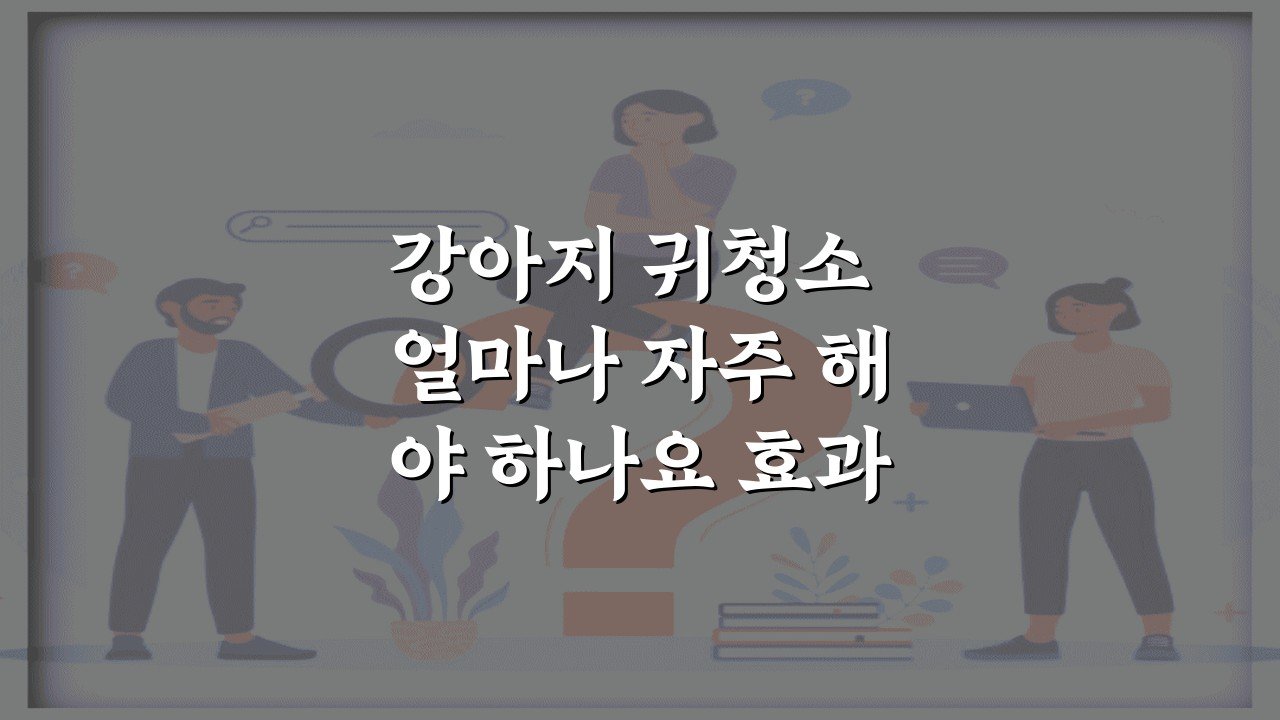 강아지 귀청소 얼마나 자주 해야 하나요 효과적인 외이염예방 관리법