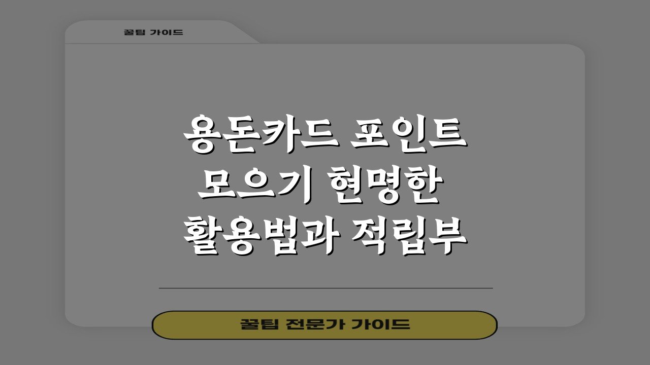 용돈카드 포인트모으기 현명한 활용법과 적립부터 전환까지