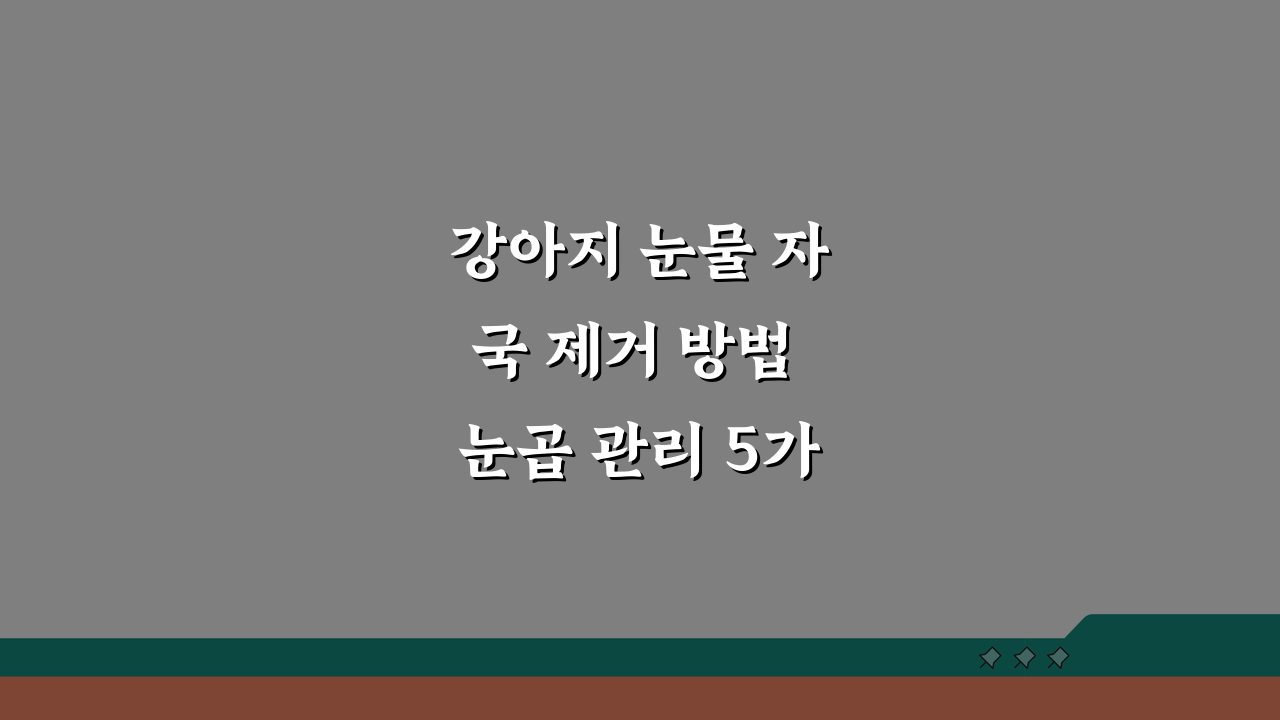 강아지 눈물 자국 제거 방법 눈곱 관리 5가지 핵심 케어법