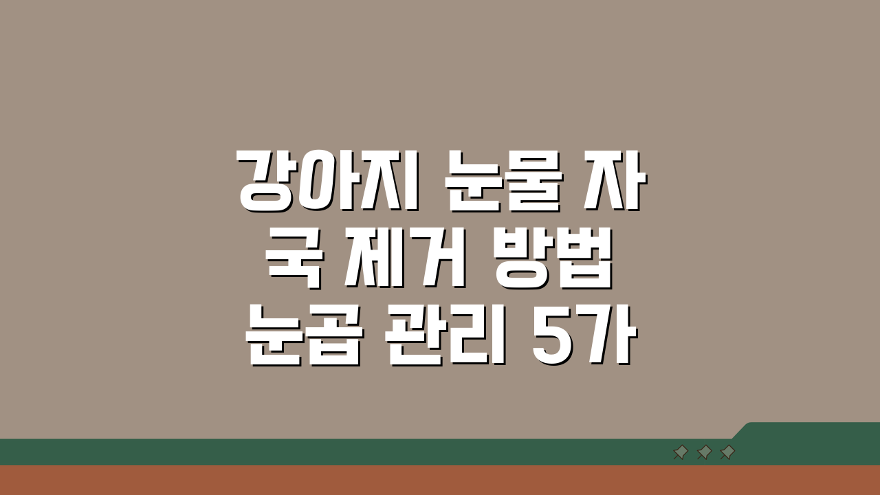 강아지 눈물 자국 제거 방법 눈곱 관리 5가지 핵심 케어법