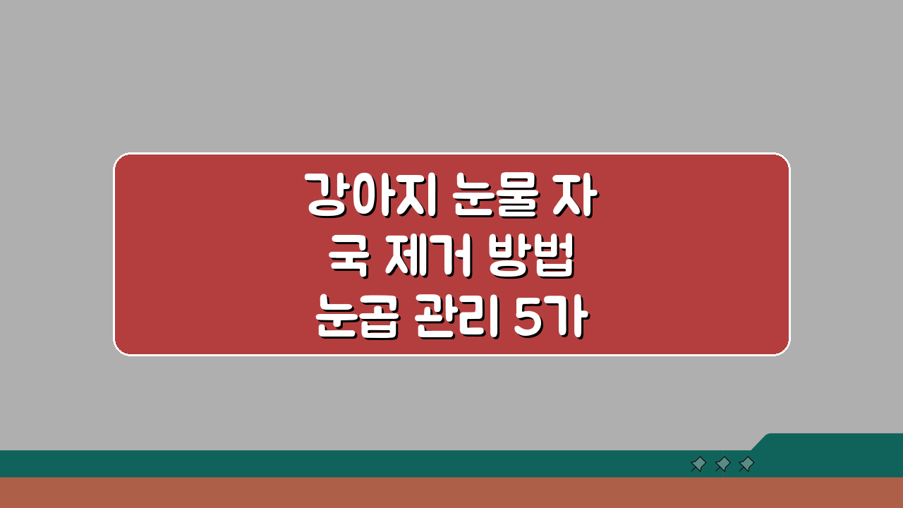 강아지 눈물 자국 제거 방법 눈곱 관리 5가지 핵심 케어법