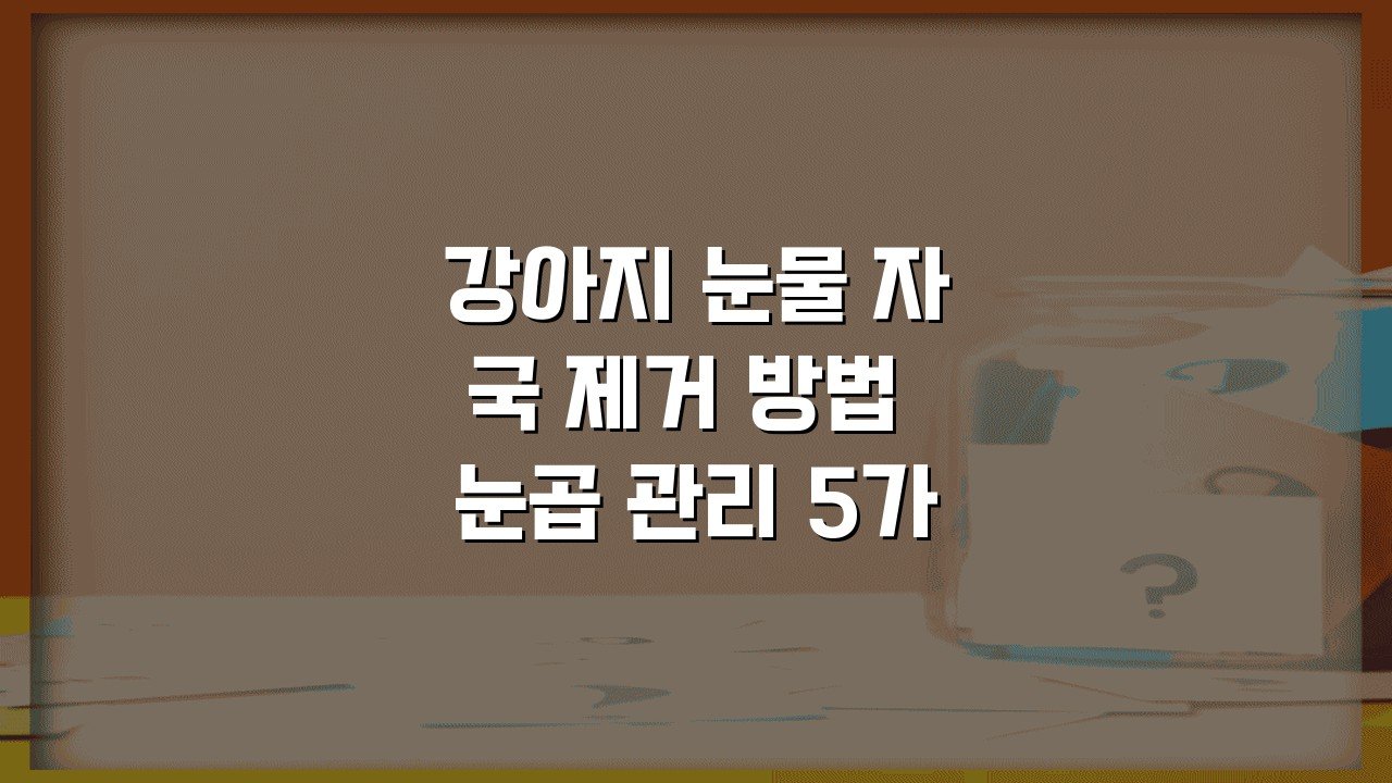 강아지 눈물 자국 제거 방법 눈곱 관리 5가지 핵심 케어법