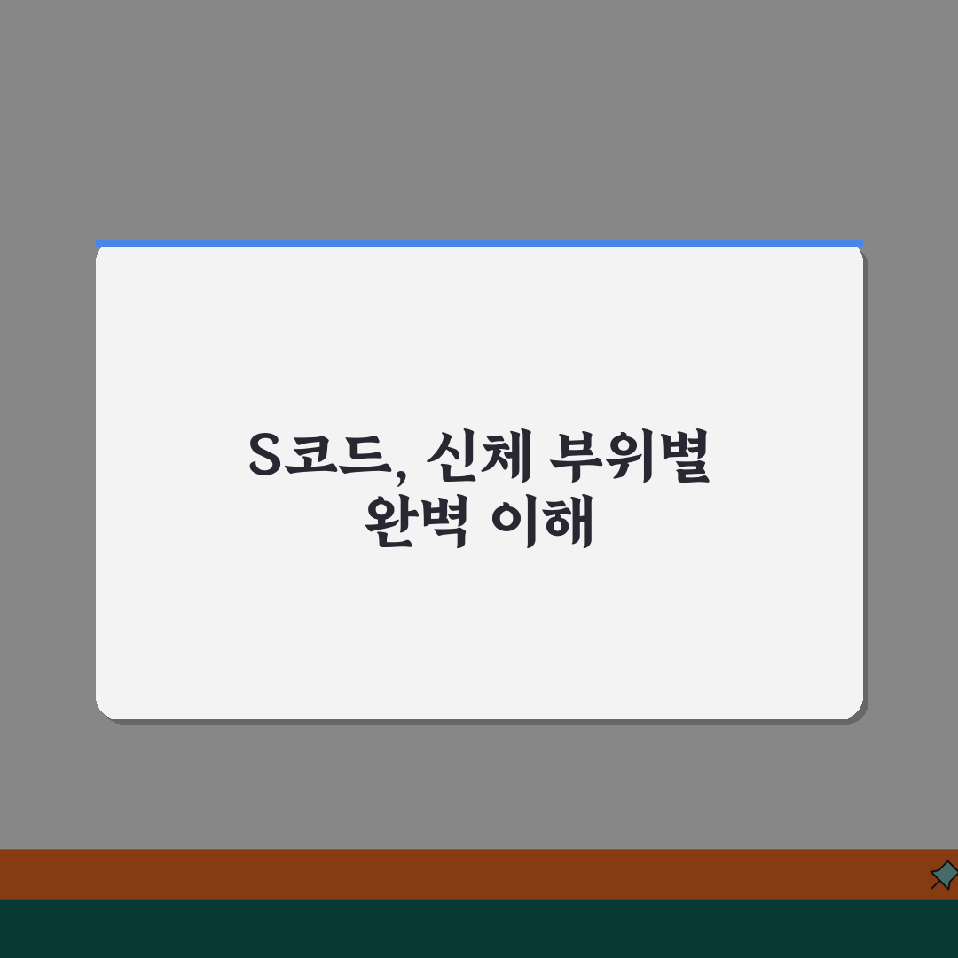 손상/외상 S코드 완벽 해설 | 신체 부위별 분류 시스템 이해, 친구에게 알려드려요!