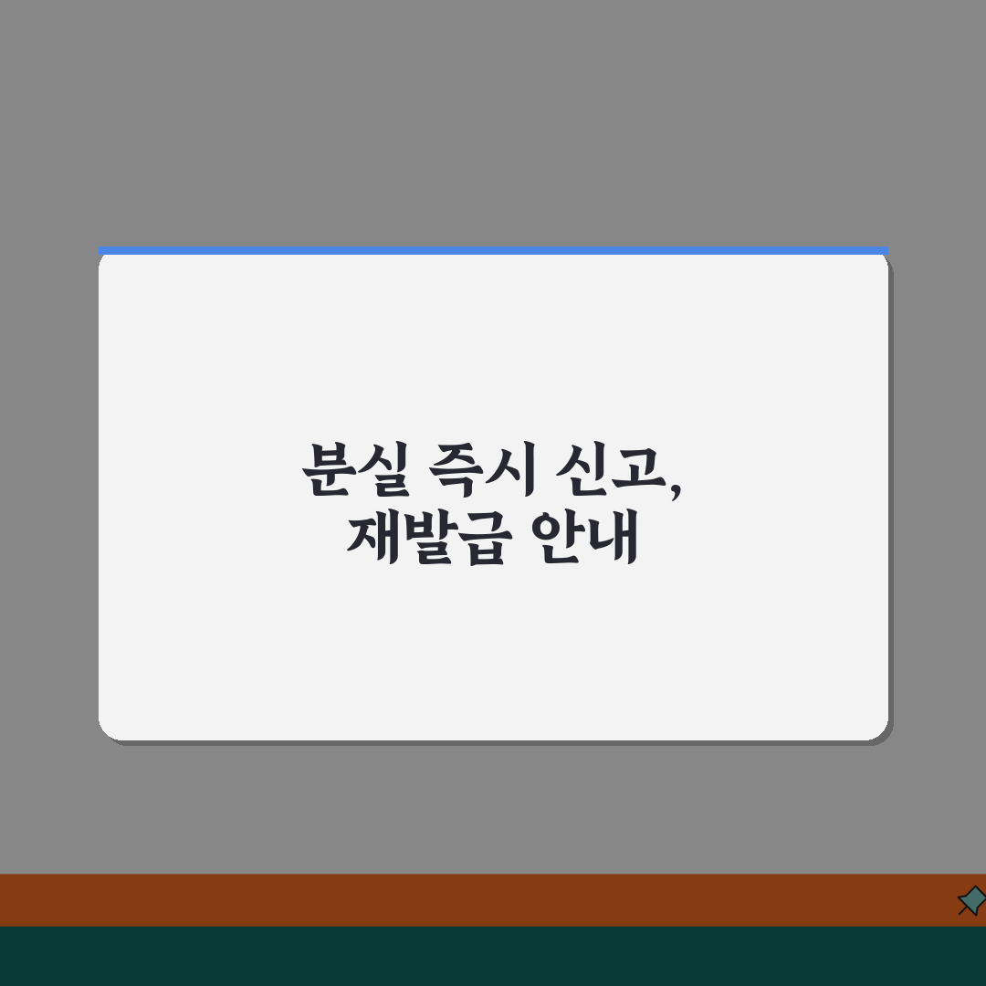 신분증 분실 대처 방법 | 주민등록증 분실시 즉시 해야 할 신고와 재발급 꿀팁 공유해요!
