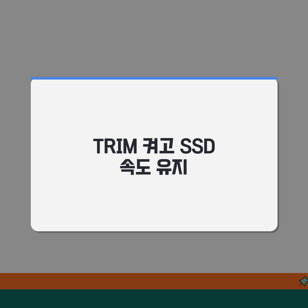 SSD 최적화 완벽가이드 | 수명연장/성능유지/데이터관리 + TRIM설정, 친구에게 꿀팁